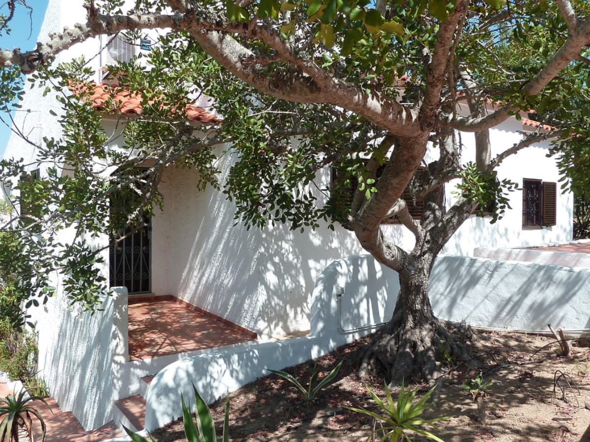 Casa Alfarrobeira