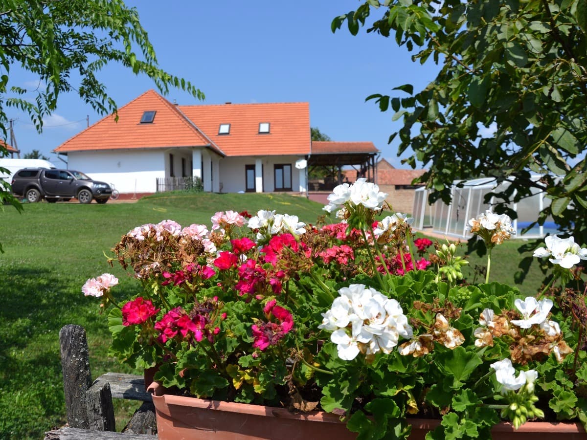 villa bellevue