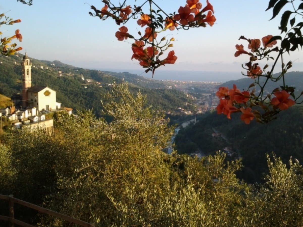 Bellavista