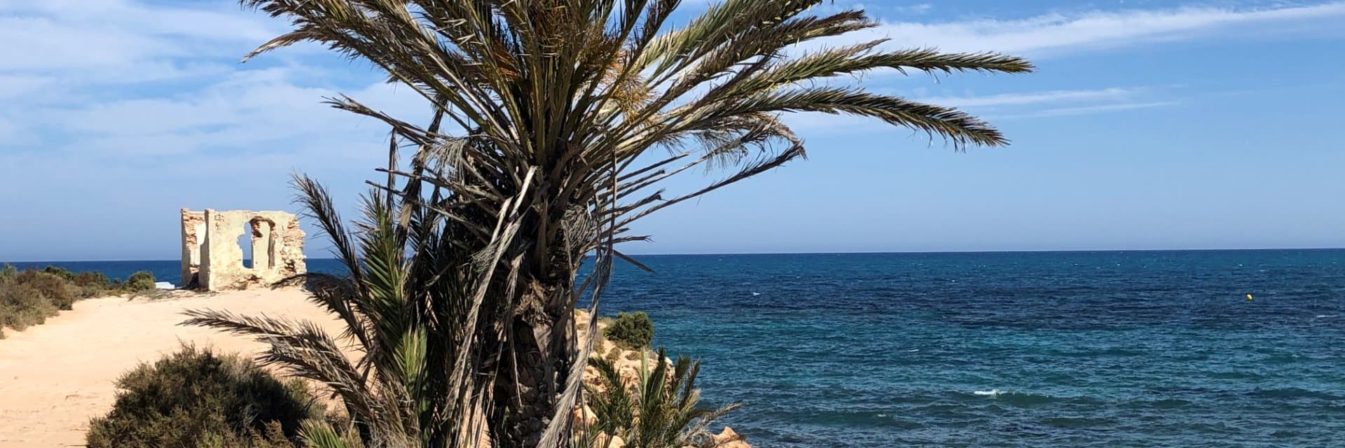 EL RASO - Guardamar (Alicante)