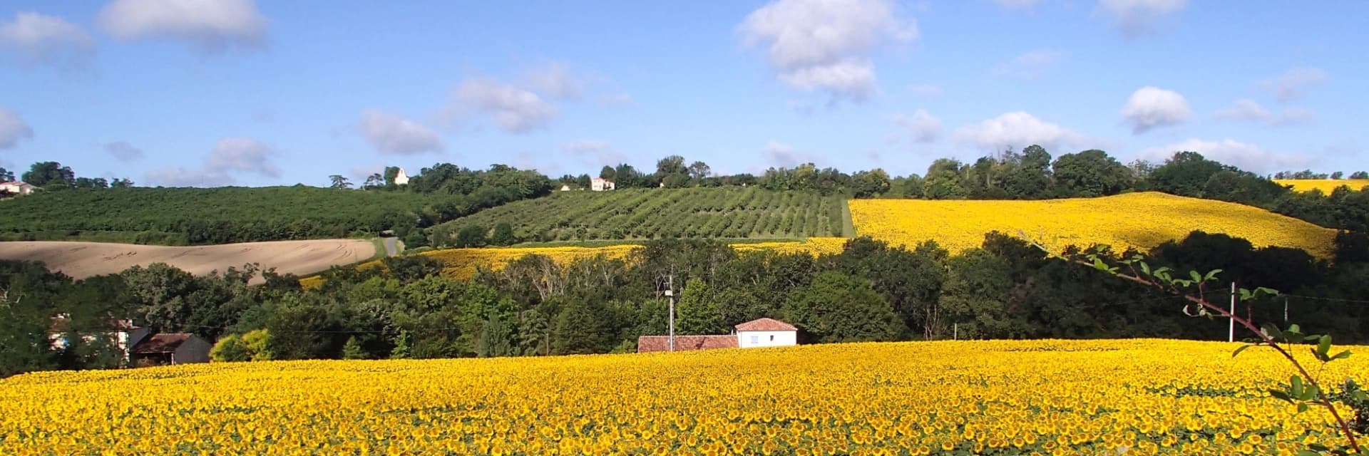 Gîtes en chambre d'hôtes Lencouet