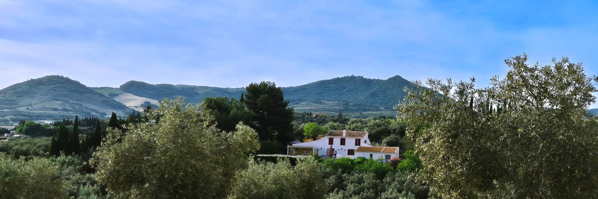 Finca amorosa