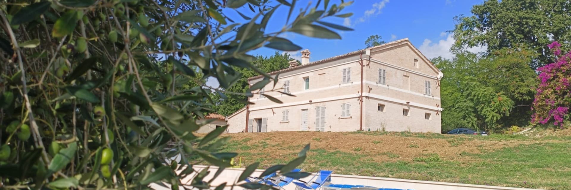 L'ULIVO D'ORO
