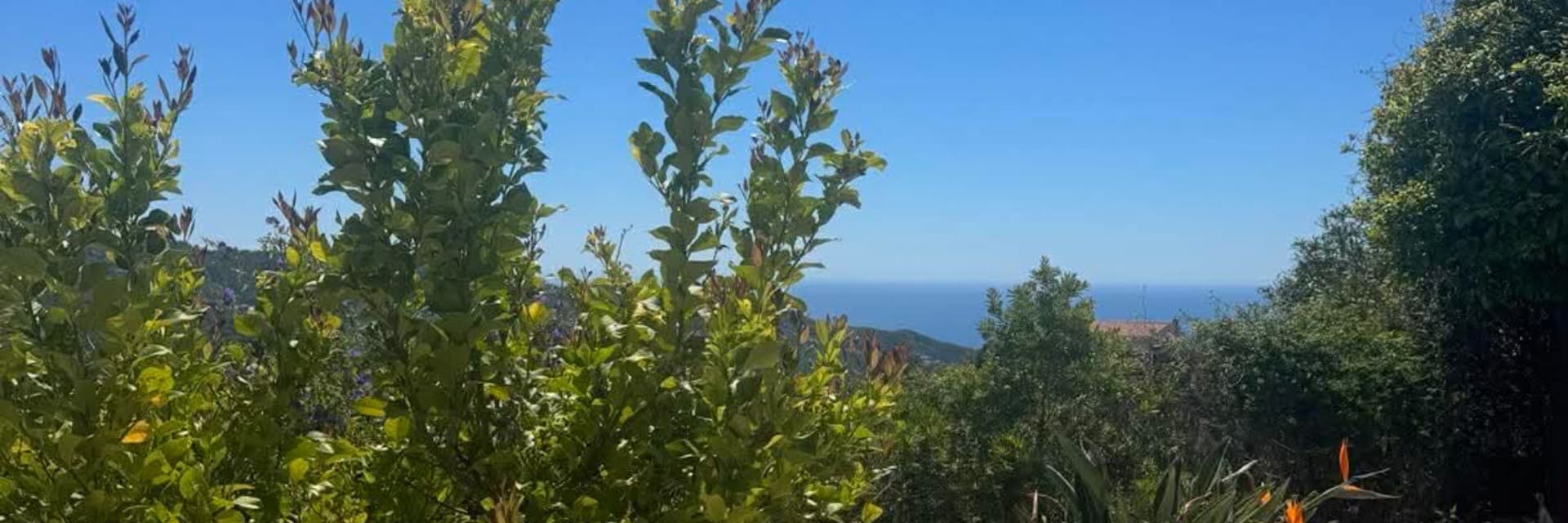 Casa Azafranes Boutique B&B